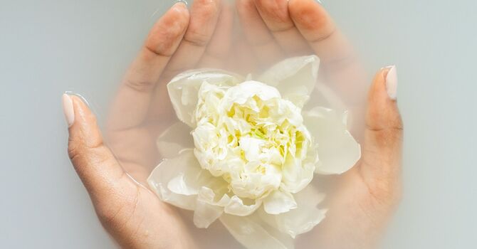 Facial Rejuvenation Acupuncture